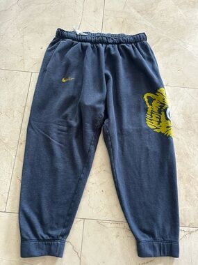 Nike Michigan Wolverines NCAA Fleece Jogger Sweatpants DJ7048-419 Sz 3XL